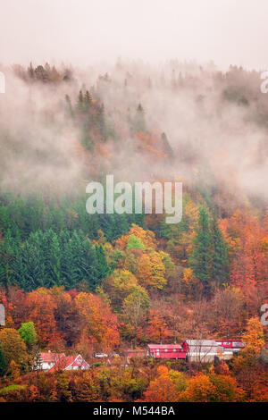 Maisons à flanc de colline à Bergen en automne Banque D'Images