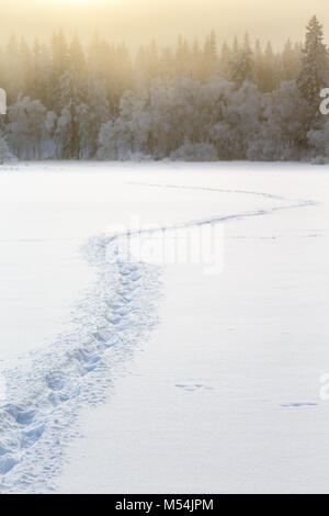 Paysage d'hiver avec des sentiers dans l'ons Banque D'Images