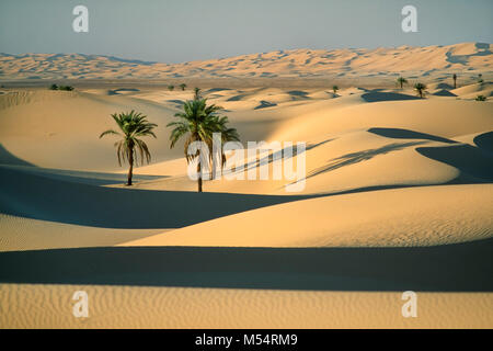 L'Algérie. Près de Ouargla. La Mer de Sable. Grand Erg Oriental. Désert du Sahara. Palmiers entre les dunes de sable. Banque D'Images