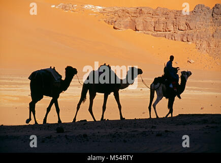 L'Algérie. Près de Djanet. Désert du Sahara. L'homme de tribu Touareg et caravanes de chameaux. Les dunes de sable. Silhouette. Banque D'Images