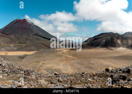 Paysage de Nouvelle-Zélande Banque D'Images