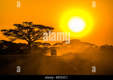 Jeep safari à travers la savane au coucher du soleil Banque D'Images