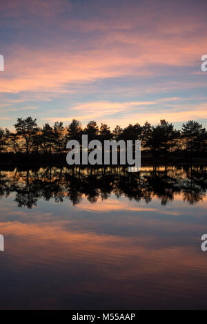 Coucher du soleil à Hatchet étang près de Beaulieu dans la New Forest, Hampshire, Angleterre. Banque D'Images