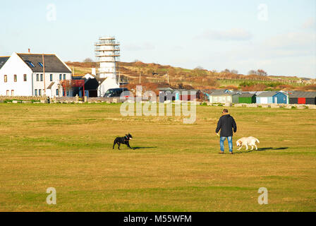 Portland, Dorset. 20 février 2018 - Un homme exerce ses chiens sur le commun à Portland Bill, dans la dernière de la journée de soleil Crédit : Stuart fretwell/Alamy Live News Banque D'Images