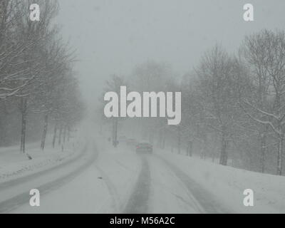 Les voitures qui circulent dans la tempête de neige Banque D'Images