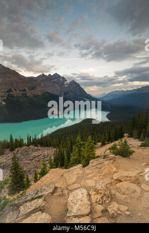 Vertical image de Peyto Lake, parc national de Banff, Canada Banque D'Images