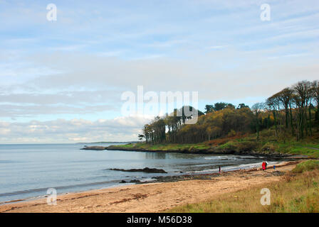 Plage sur le chemin côtier près de Bangor, Irlande du Nord, Royaume-Uni Banque D'Images