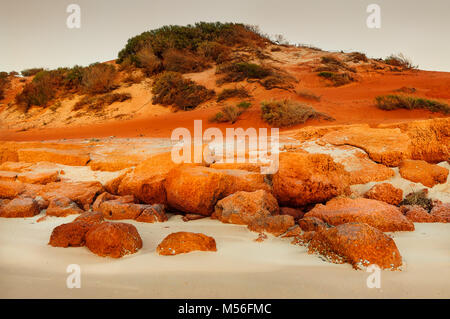 Dunes rouges à une plage de sable blanc dans la baie de bouteille. Banque D'Images