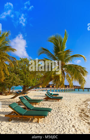 Transats sur la plage aux Maldives Banque D'Images