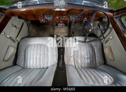 1955 Jaguar MkVII intérieur, Big cat badge sur le volant Banque D'Images