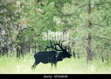 Grand scenic montana state paysages et nature Banque D'Images