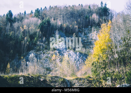 Vue de bas en haut sur les collines. Des lignes courbes et des arbres colorés à l'automne II Banque D'Images