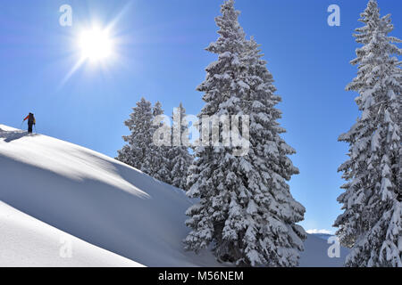 Sur le chemin des skieurs dans un paysage couvert de neige dans les montagnes avec des conifères à une belle journée d'hiver. Alpes Allgaeu, Bavaria, Germany Banque D'Images