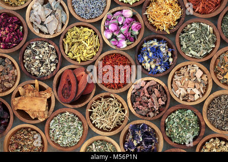 Utilisé dans la médecine de fines herbes remèdes alternatifs avec une variété d'herbes séchées et de fleurs dans des bols en bois. Vue d'en haut. Banque D'Images