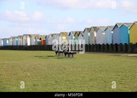 Seaside beach hut style belle couleur vive la Vie Banque D'Images