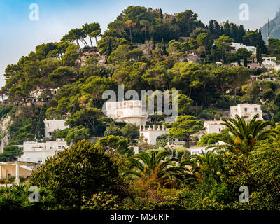 Hillside Maisons et villas, Capri, Italie. Banque D'Images