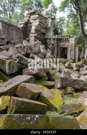Ruines du temple Ta Prohm envahi de jungle à Angkor, Cambodge Banque D'Images