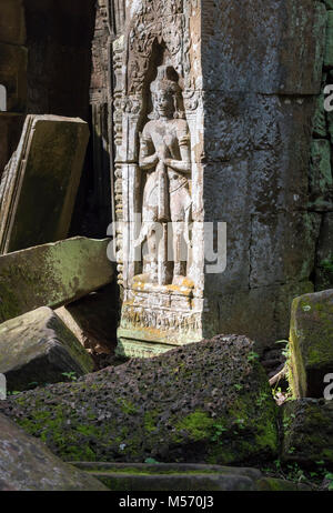 Bas-reliefs à Ta Prohm temple jungle à Angkor, Cambodge Banque D'Images