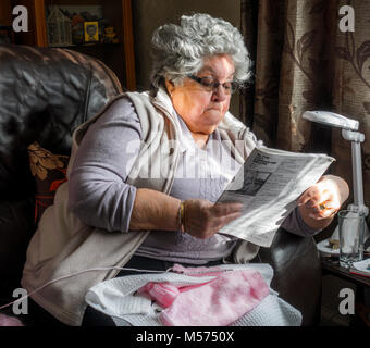 Aux cheveux gris, 80 ans, femme, assise dans un fauteuil en cuir à la lumière du soleil pommelé, lire les instructions d'un tricot de laine rose / vêtement de laine. Banque D'Images