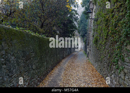 Rue étroite entre les anciennes ruines de brouillard avec les feuilles d'automne sur une route dans la ville de Bergame, Italie Banque D'Images