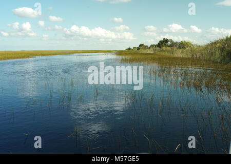 Les Herbiers Everglades Park, Fort Lauderdale, FL Banque D'Images