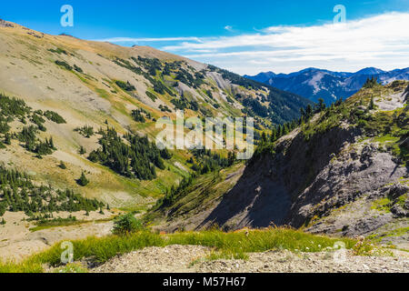 Sur le sentier de randonnée dans la vallée du blaireau pendant une randonnée dans la vallée de Grand Olympic National Park, Washington State, USA Banque D'Images