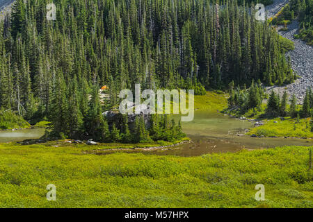 Un lointain camping le long du lac Gladys à Grand Valley dans la région de Olympic National Park, Washington State, USA Banque D'Images