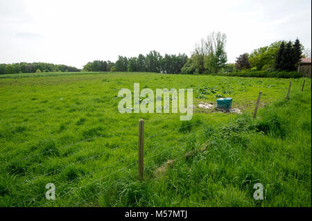 Dans cet endroit il y avait l'ancien allemand nazi KZ Neuengamme subcamp Hausberge (avec deux autres camps c'est KZ Porta Westaflica), où quelque 1000 jeunes Je Banque D'Images