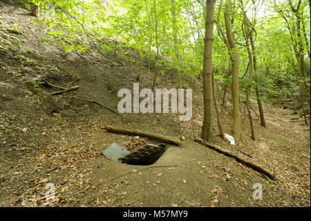 L'une des entrées illégales cachées (probablement) à l'arbre de ventilation Stohr 1 Hammerwerke Jakobsberg intérieur usine souterraine de Porta Westfalica, North R Banque D'Images