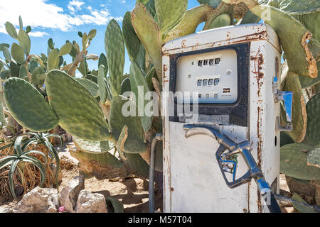 Pompe à essence ancienne avec cactus du désert en Namibie Banque D'Images