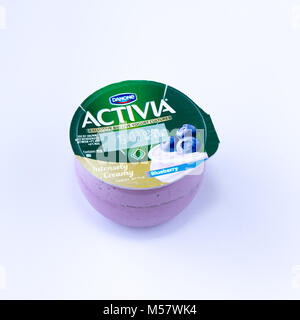 Un pot de yogourt Activia de bleuets bio vivre d'un multipack vendu au Royaume-Uni Banque D'Images