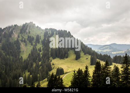 Steineberg, vu la montagne de Bärenköpfle la montagne, près de Immenstat, Allgäu, Bavière, Allemagne, Europe. Banque D'Images