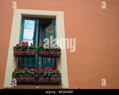 Romain vert ouverture de Windows avec les boîtes à fleurs plein de fleurs rouges Banque D'Images