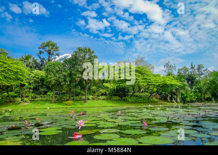 Beau jardin avec un lac artificiel avec de nombreux nénuphars dans l'eau situé à Marina Bay Sands à Singapour Banque D'Images