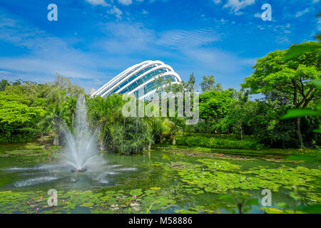 Vue extérieure d'un beau jardin avec un lac artificiel avec de nombreux nénuphars dans l'eau et une fontaine au milieu du lac, situé à Marina Bay Sands Banque D'Images