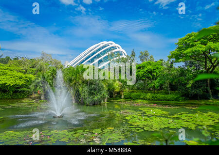 Vue extérieure d'un beau jardin avec un lac artificiel avec de nombreux nénuphars dans l'eau et une fontaine au milieu du lac, situé à Marina Bay Sands Banque D'Images