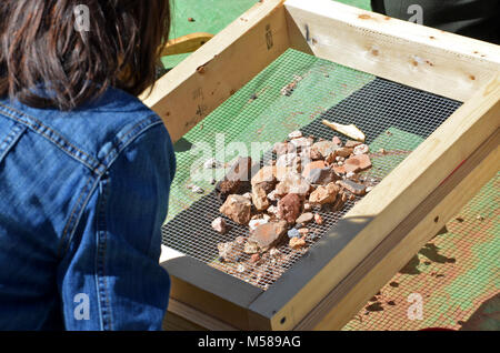 Journée d'archéologie Grand Canyon pour les artefacts de tamisage . En savoir plus sur les gens qui vivaient à Grand Canyon il y a longtemps, en participant à des activités au cours du Parc National du Grand Canyon Journée de l'archéologie. Si vous voulez faire semblant d'être un archéologue moderne, vous pouvez participer à l'activité de criblage d'artefact. Lorsque vous trouvez des morceaux de preuve, peut-être que vous pouvez découvrir ce qu'ils sont et ce qu'elles ont été utilisées pour. NPS Banque D'Images