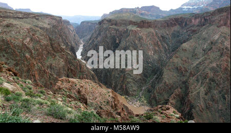 Le Parc National du Grand Canyon Vue du sentier du ruisseau Clear en amont. (6070 x 3229) vue depuis le sentier de craquement clair vers le bas dans la gorge intérieure du Grand Canyon du Colorado River plus de 1000 ft/ 305m ci-dessous. Au centre de la photo sont les plaisanciers de crémation camps - autour de 87 milles de la rivière. Les parties supérieure et inférieure de la Crémation des camps sont situés juste en amont du pont noir et de la Phantom Ranch voile beach. Utilisation des deux camps à la crémation est restreint à ces déplacements qui vont échanger des passagers le jour suivant. Si votre voyage n'est pas l'échange de passagers dans les environs de Phantom Ranch, ne Banque D'Images