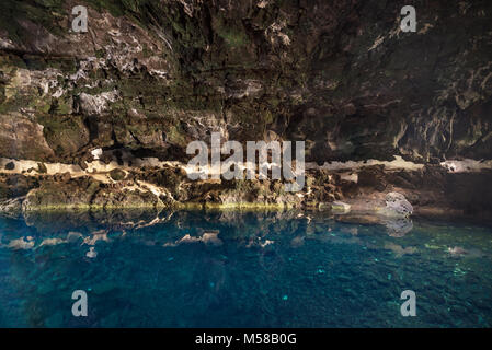 Célèbre De la grotte de Los Jameos del Agua et le lagon à Lanzarote, îles canaries, espagne. Banque D'Images