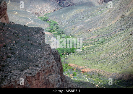 Le Parc National du Grand Canyon Jardin Indien . Camping Le jardin indien (RGI), situé le long de la Bright Angel Trail, est une belle zone riveraine rempli de peupliers. Un petit ruisseau traverse sur le chemin de la rivière Colorado. Au camp dans ce camping vous devez obtenir un permis d'abord de l'arrière-pays. Banque D'Images