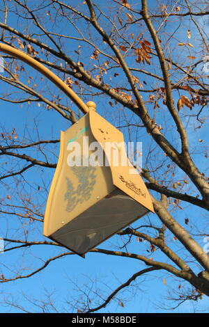 Gyeongju, Corée du Sud - 12 novembre 2017 : lampe de rue avec le Cheomseongdae forme à améliorer les belles de Gyeongju en automne Banque D'Images