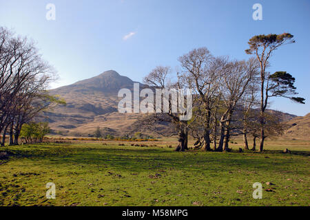 Ben Buie sur le chemin de Lochbuie stone circle, île de Mull, Hébrides intérieures, Ecosse Banque D'Images