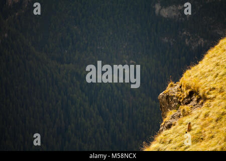 Beau paysage typique dans les Dolomites Banque D'Images