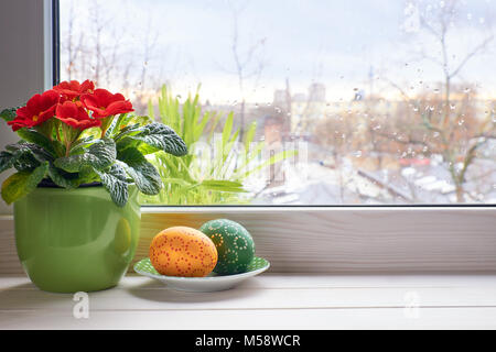 Rouge sur un fond de printemps fleurs primrose en pot et les oeufs de Pâques sur la fenêtre avec la pluie. L'espace pour votre texte. Banque D'Images