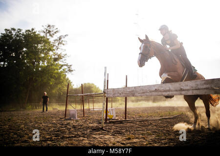 Jeune femme jockey à Cheval sautant par-dessus obstacle Banque D'Images