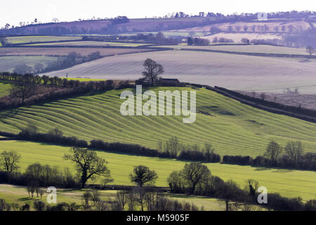 Campagne anglaise avec faible ensoleillement montrant ridge médiévale et champ de sillon sur un système jour hivers lumineux Banque D'Images