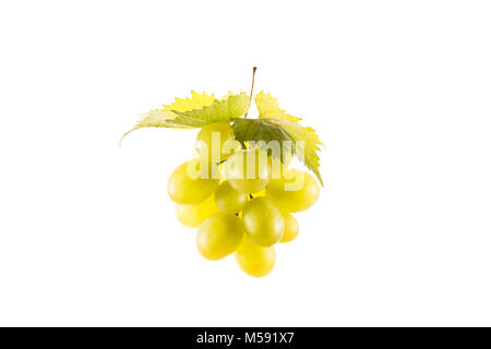 Vue rapprochée de grappe de raisins frais isolated on white Banque D'Images