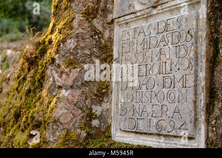 Bussaco Palace et jardins (maintenant Bussaco Palace Hotel) ,entouré par 250 hectares de bois a été planté par les moines carmélites, près de Luso, Port Banque D'Images