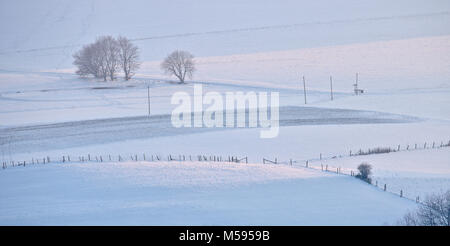 Coucher du soleil d'hiver sur champs de neige avec des arbres et des clôtures (téléobjectif) Banque D'Images