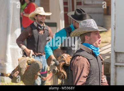 Équipe de cowboys se préparent à entrer dans l'arène pour la course de chevaux sauvages à la 90e Williams Lake Stampede Banque D'Images